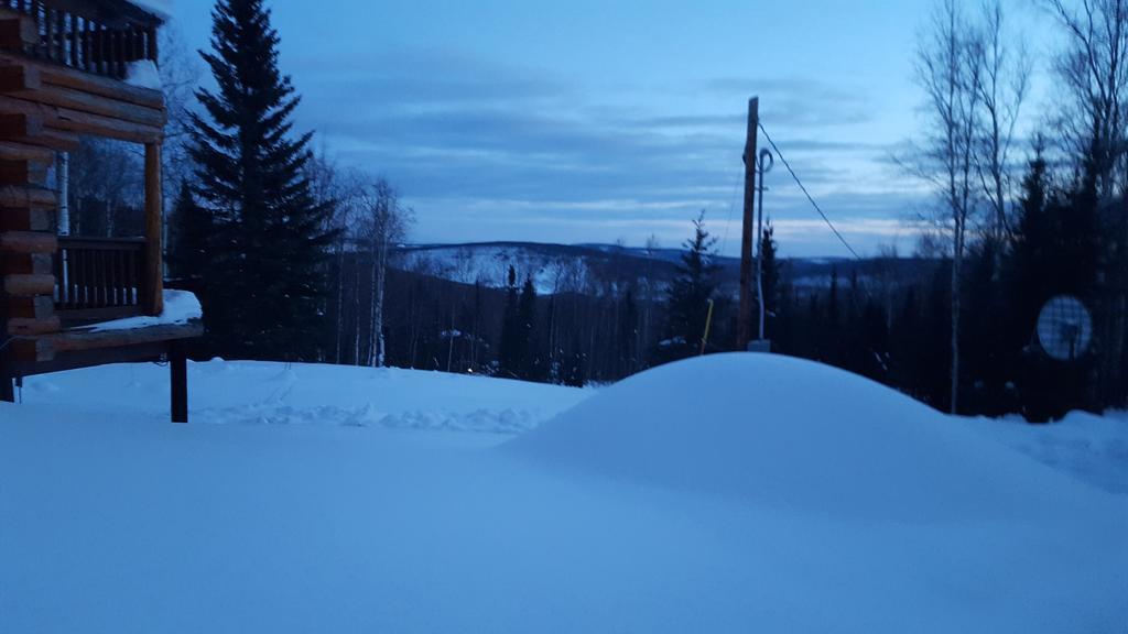 Wildmoon Home Феърбанкс Екстериор снимка