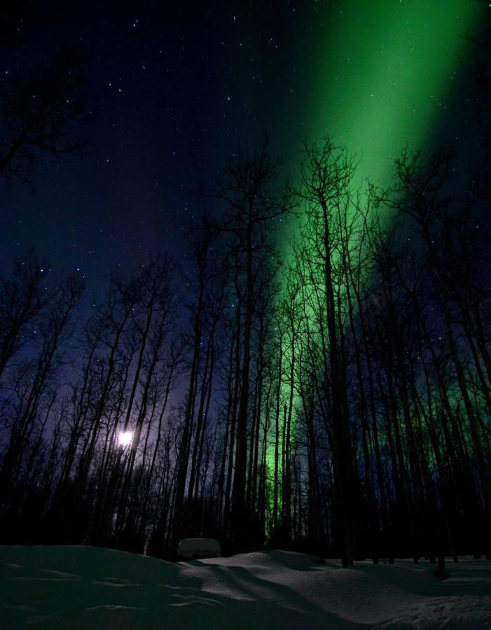 Wildmoon Home Феърбанкс Екстериор снимка